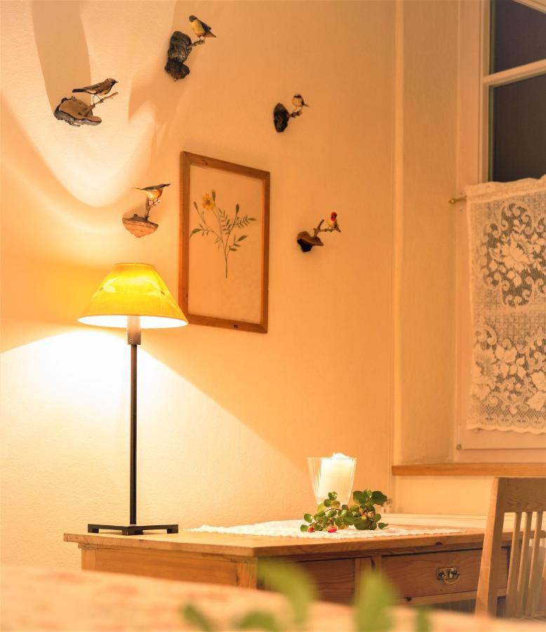 Hannas Alpengruss Apartment - Zimmer Seefeld in Tirol Kültér fotó