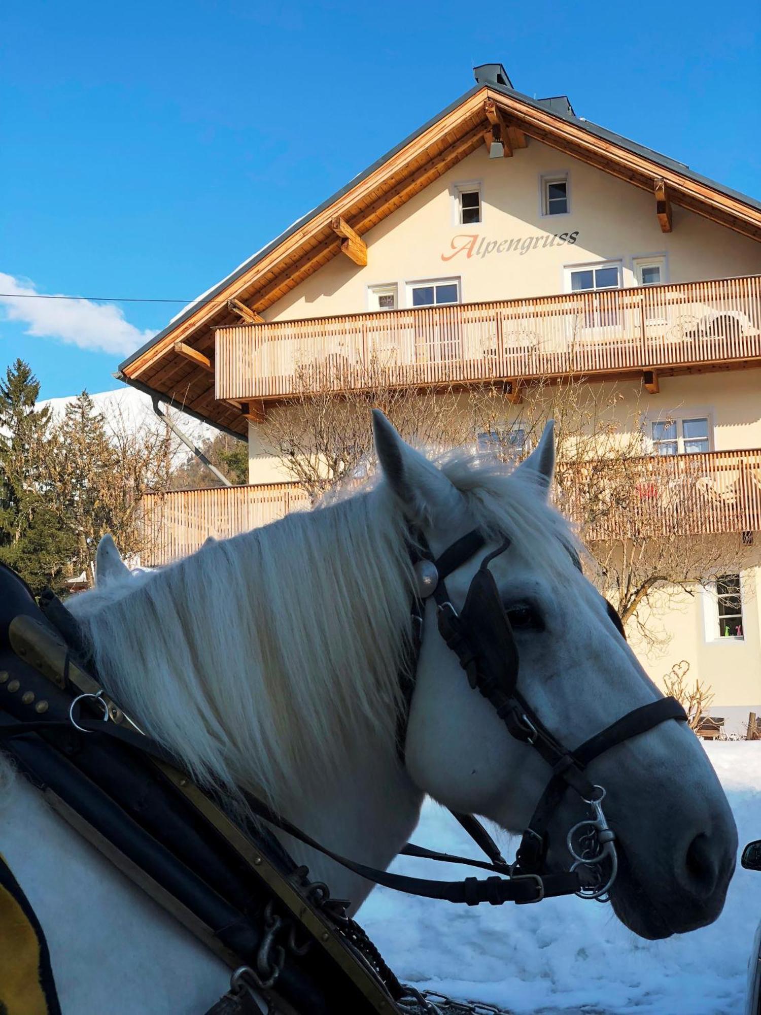 Hannas Alpengruss Apartment - Zimmer Seefeld in Tirol Kültér fotó